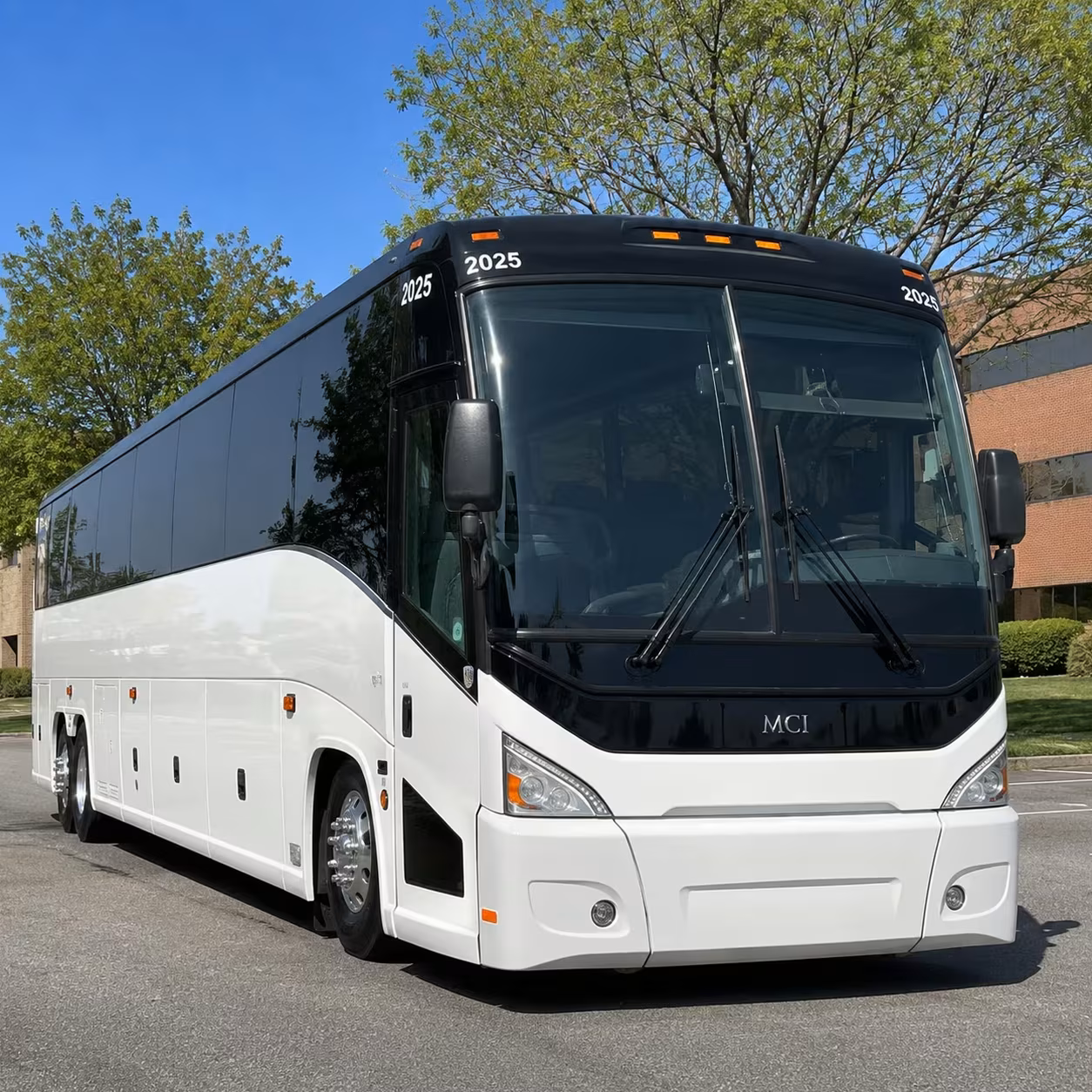 easily book amarillo bus rentals for bachelorette parties and prom